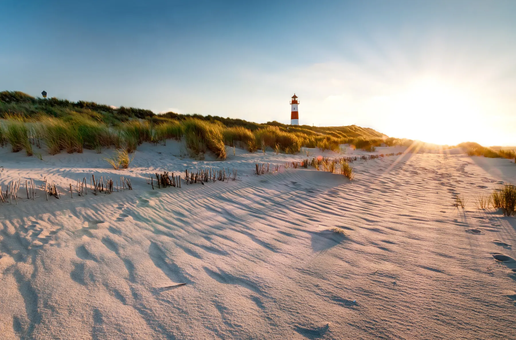 Strand und Dünen auf Sylt im Gegenlicht